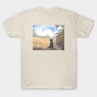 A Border collie dog meditates on a summer meadow T-Shirt